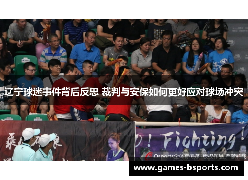 辽宁球迷事件背后反思 裁判与安保如何更好应对球场冲突